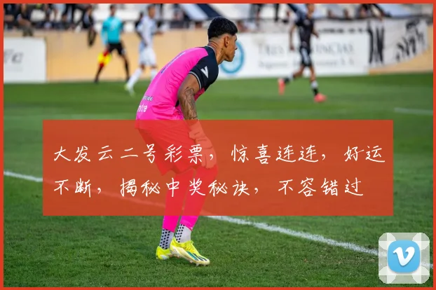 大发云二号彩票，惊喜连连，好运不断，揭秘中奖秘诀，不容错过