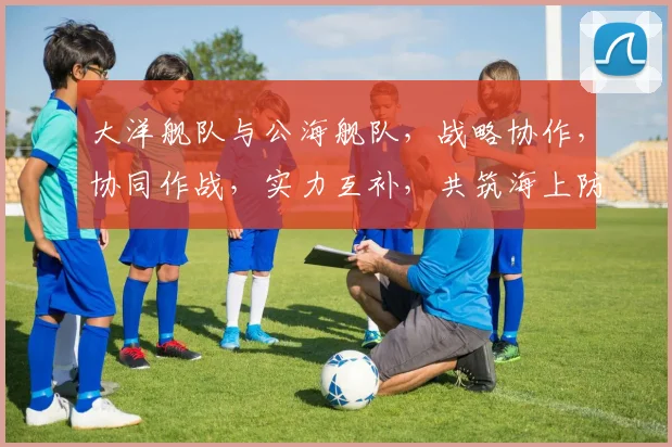 大洋舰队与公海舰队，战略协作，协同作战，实力互补，共筑海上防线