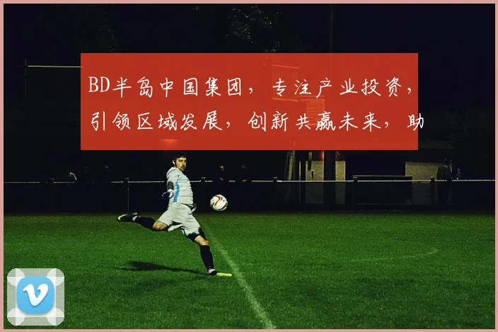 BD半岛中国集团，专注产业投资，引领区域发展，创新共赢未来，助力国家战略。