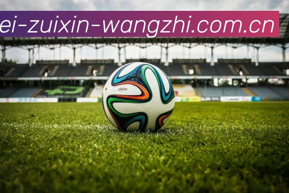 奖项证书